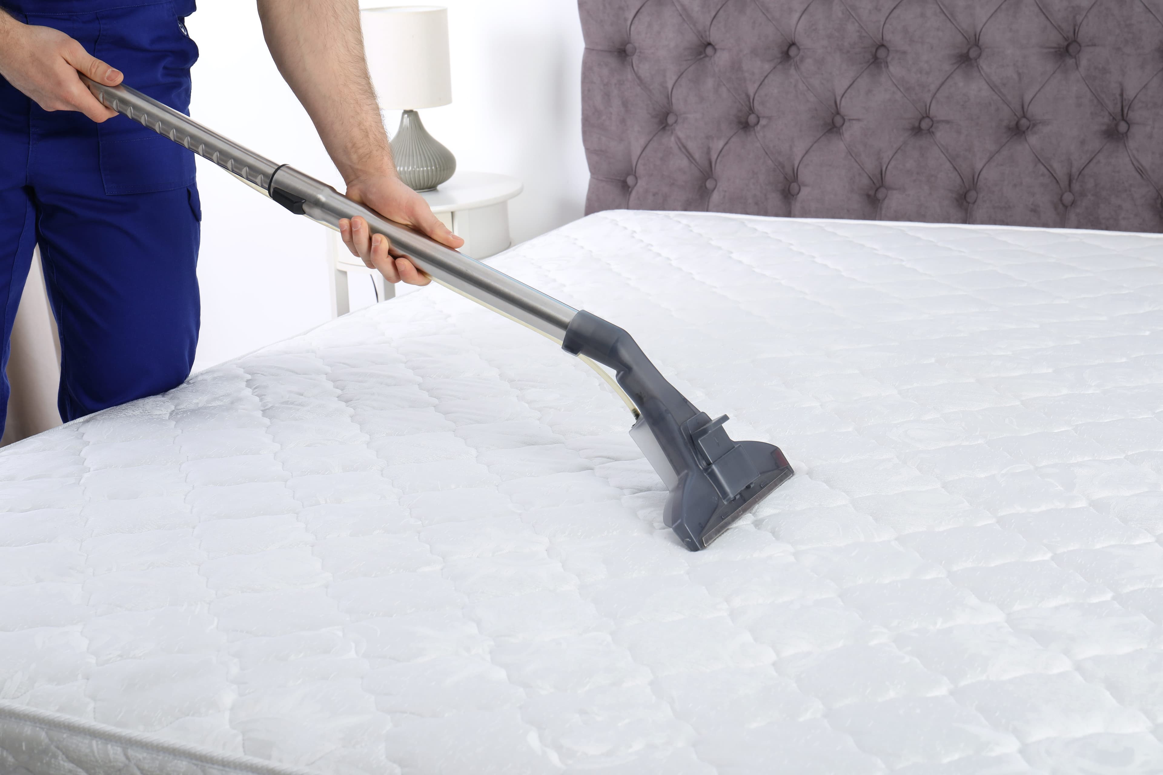 photo of person cleaning mattress